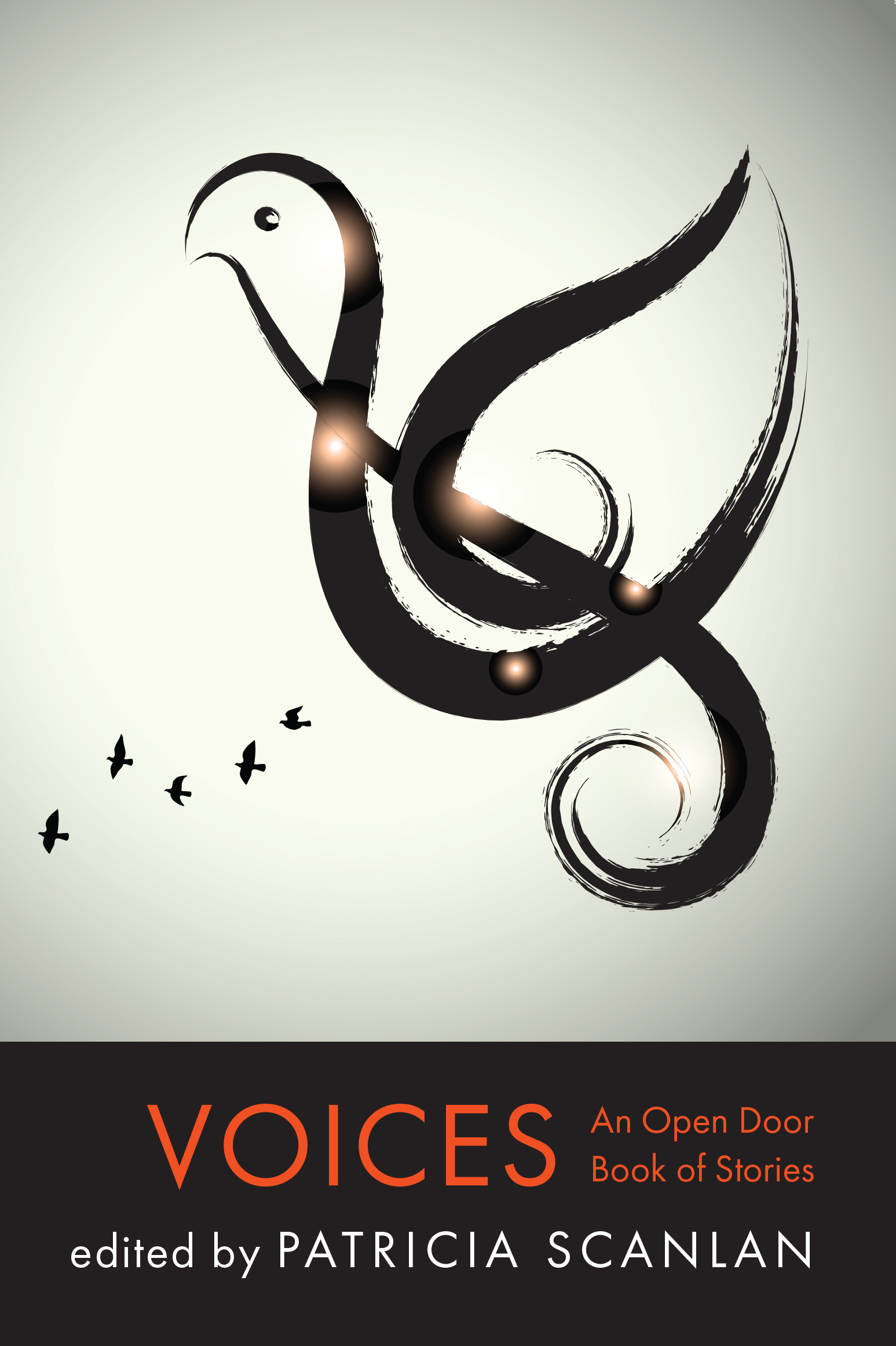 Book cover of the NALA book voices