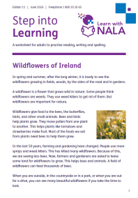 Step into learning worksheet Edition 11 June 2026 cover