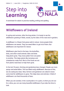 Step into learning worksheet Edition 11 June 2026 cover